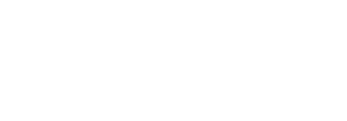 DOPSYS